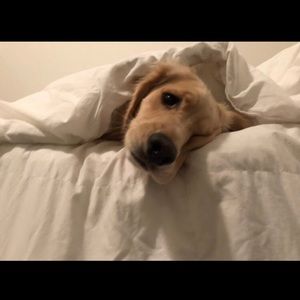 Meet your Posher, Crystal